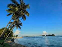 Cove Drive (D4), Detached #464388241